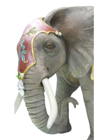 Rey Baltasar y  Paje Real en Elefante