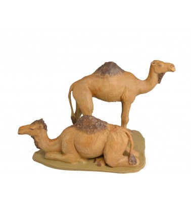 Grupo camellos sin carga
