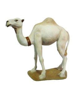 19060 Camello en pie Blanco Nº 10