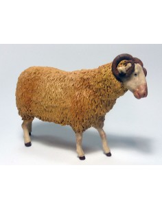 18079 Borrego lana con cuernos para 18 cm