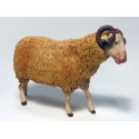 Borrego lana con cuernos para 18 cm