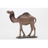 Camello pie sin carga