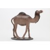 Camello pie sin carga