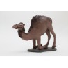 Camello sentándose sin carga