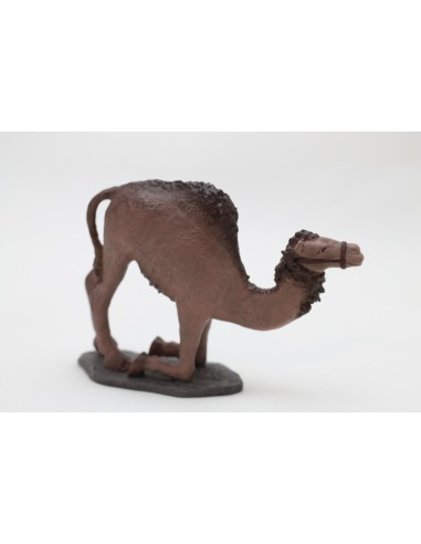 11035 Camello sentándose sin carga