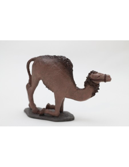 11035 Camello sentándose sin carga