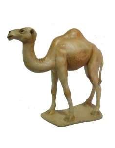 19057 Camello en Pie Nº 7