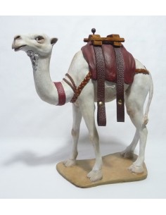 19059 Camello con correas blanco Nª 9
